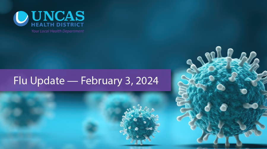 Flu Update, February 3, 2024