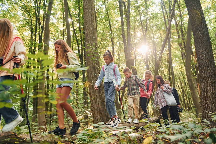 Group of children hiking through a sunlit forest on a wooden balance trail with backpacks nearby.