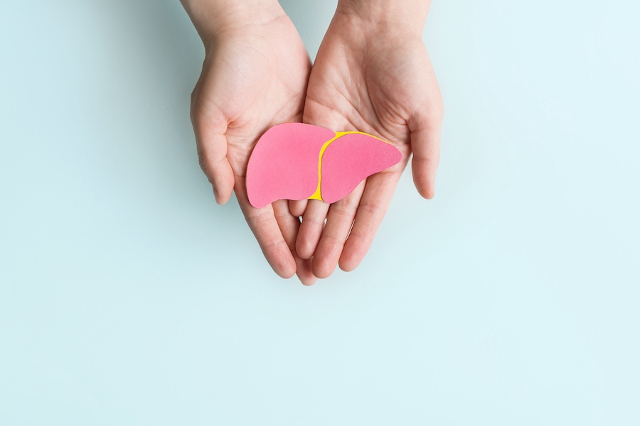 Hands cupping a pink paper liver cutout with a yellow division on a pale blue background, symbolizing liver health awareness.