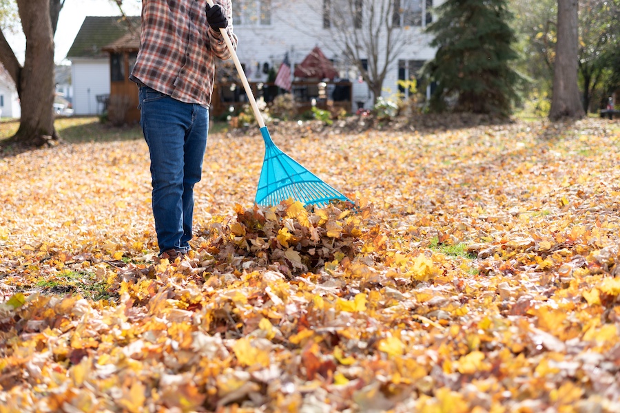 Fall clean up