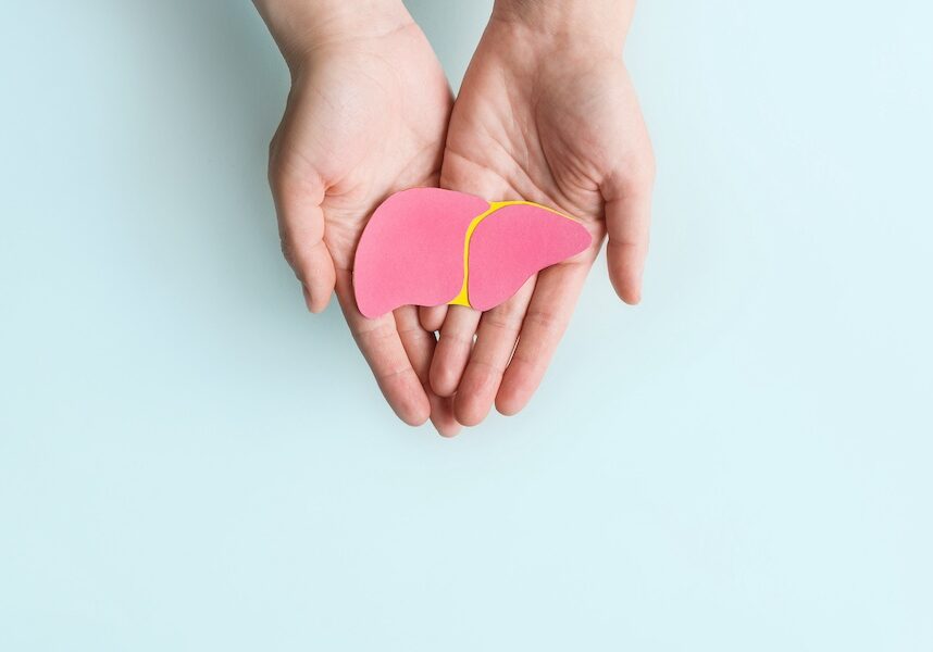 Hands cupping a pink paper liver cutout with a yellow division on a pale blue background, symbolizing liver health awareness.