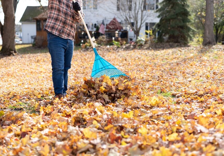 Fall clean up