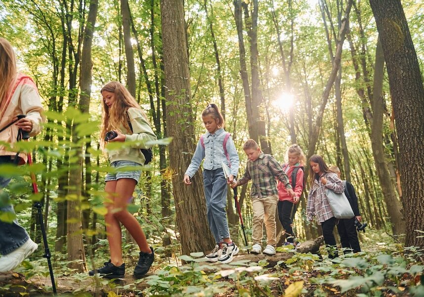 Group of children hiking through a sunlit forest on a wooden balance trail with backpacks nearby.