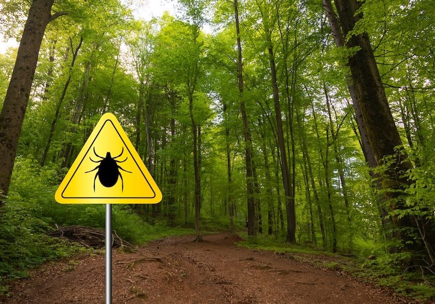 sign warning of ticks in the area
